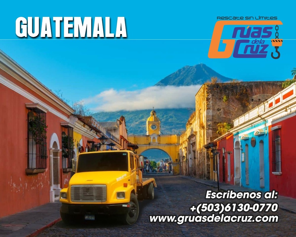Galería 13
