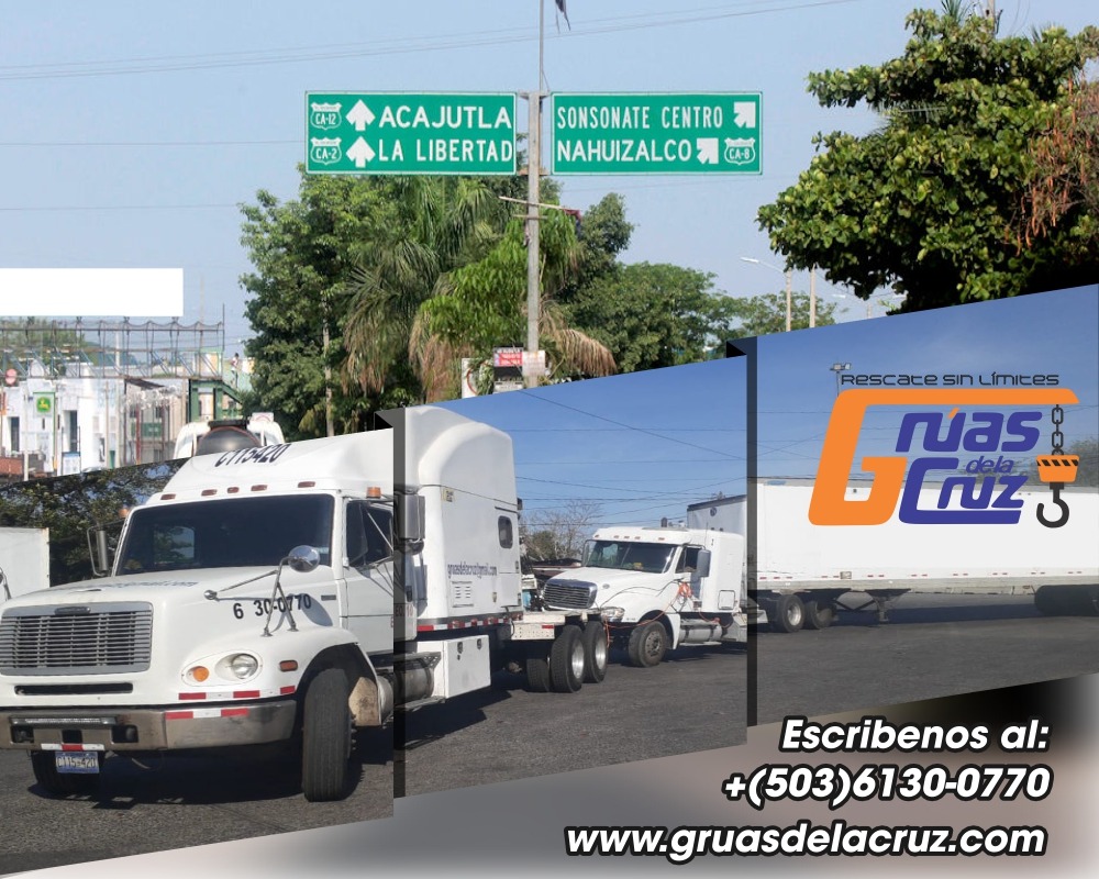 Galería 14